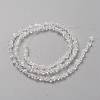 Transparent Solid Color Glass Beads Strands X-GLAA-L031-01-B01-3