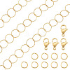 1M 304 Stainless Steel Ring Rolo Chains STAS-TA0006-32-2