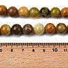 Natural Green Opal Beads Strands G-K245-A17-A05-01-4