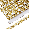 Polyester Braided Lace Ribbons OCOR-WH0105-181B-1