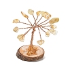 Natural Yellow Quartz Chips Tree of Life Decorations GG-CBAEDF6-01L-2