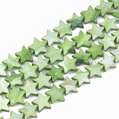 Freshwater Shell Beads Strands SHEL-S276-31C-1