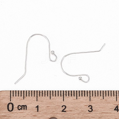 925 Sterling Silver Earring Hooks STER-G011-13-1