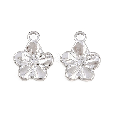 304 Stainless Steel Charms X-STAS-L317-02P-1