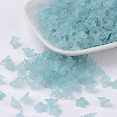 Transparent Acrylic Beads LS-X-PL554-11-1