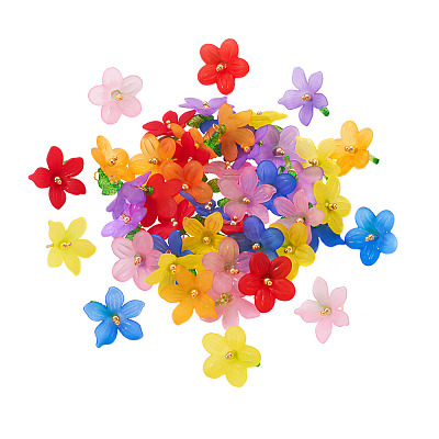 48Pcs 12 Styles Frosted Acrylic Pendants PALLOY-TA0002-52-1
