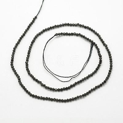 Natural Obsidian Beads Strands G-F507-02-1