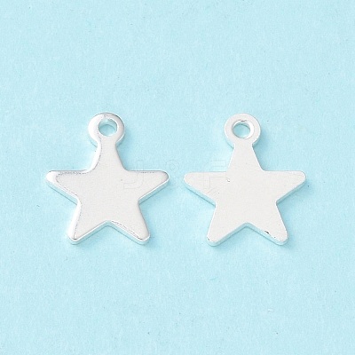 304 Stainless Steel Charms STAS-L234-069S-1