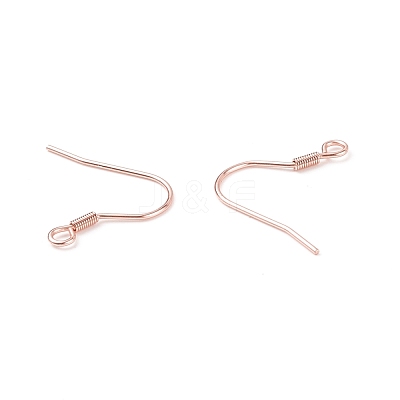 304 Stainless Steel Earring Hooks STAS-P221-04RG-1