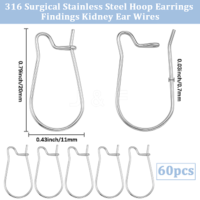 60Pcs 316 Surgical Stainless Steel Hoop Earrings Findings STAS-BBC0010-02-1