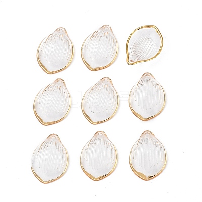 Transparent Acrylic Pendants X-TACR-D013-01-1