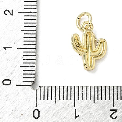 Brass Pendants X-KK-L248-13G-1