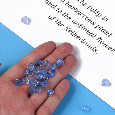 Transparent Acrylic Beads MACR-S373-95-B10-1