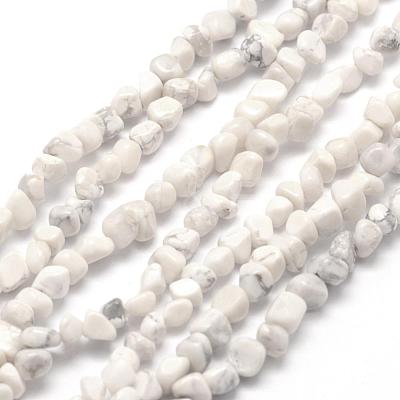 Natural Howlite Beads Strands G-F465-05-1