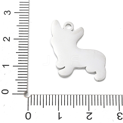 304 Stainless Steel Pendants SA-CBAE115-09P-1
