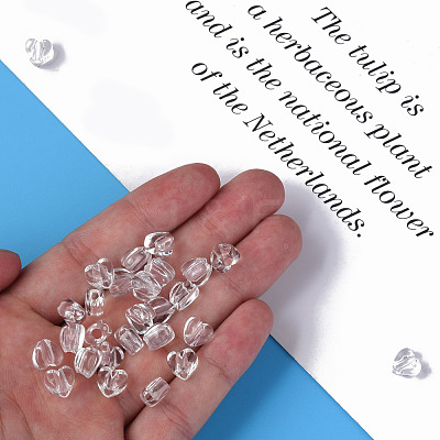 Transparent Acrylic Beads MACR-S373-95-B-1