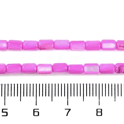 Natural Freshwater Shell Beads Strands BSHE-H109-17B-1