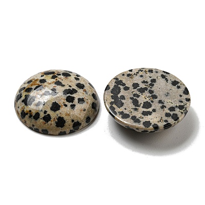 Natural Dalmatian Jasper Cabochons G-C115-02B-21-1