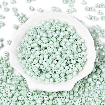 Baking Paint Pearlized Glass Seed Beads SEED-T008-03P-1