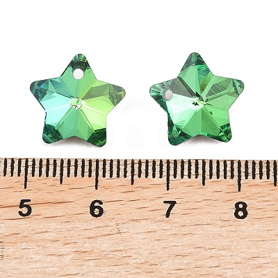 Electroplate Glass Charms GLAA-H104-A05-1