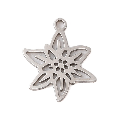 Non-Tarnish 304 Stainless Steel Pendants STAS-S139-06P-01-1