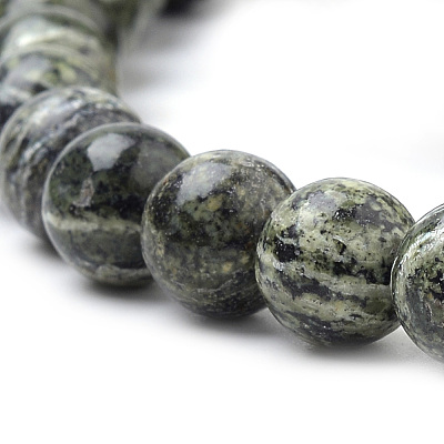 Natural Green Zebra Jasper Beads Strands G-S259-34-10mm-1