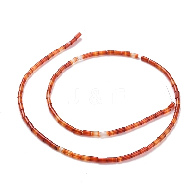 Natural Red Agate Beads Strands G-M389-01-1