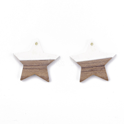 Resin & Walnut Wood Pendants RESI-T023-23B-1