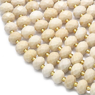Natural Fossil Beads Strands G-P573-A42-01-1