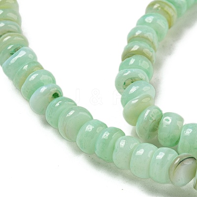 Dyed Natural Freshwater Shell Beads Strands X1-BSHE-G039-07E-1