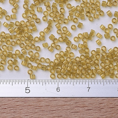 MIYUKI Delica Beads Small X-SEED-J020-DBS0118-1