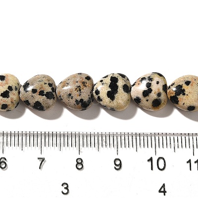 Natural Dalmatian Jasper Beads Strands G-R190-10mm-63-1