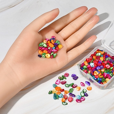 Natural Dyed Shell Beads G-YW0001-15-1