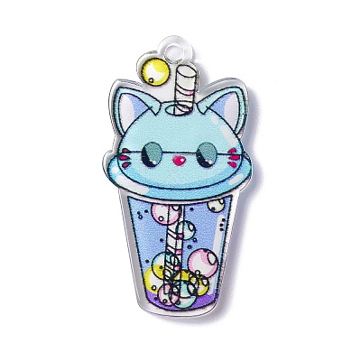 Transparent Printed Acrylic Pendants LS-TACR-G042-01E-1