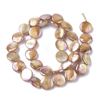 Freshwater Shell Beads Strands SHEL-S274-52C-1