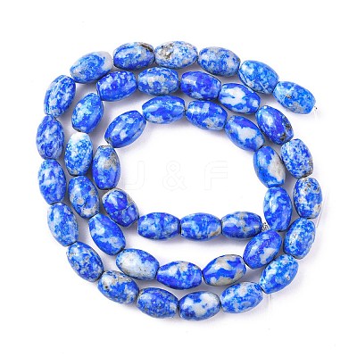 Natural Lapis Lazuli Beads Strands G-K311-10B-03-1