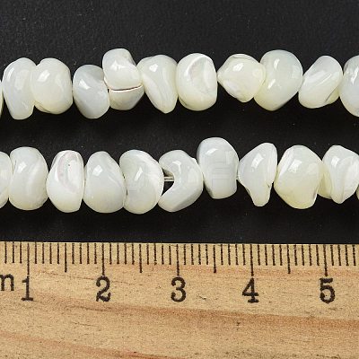 Natural Trochus Shell Beads Strands BSHE-G039-01B-1