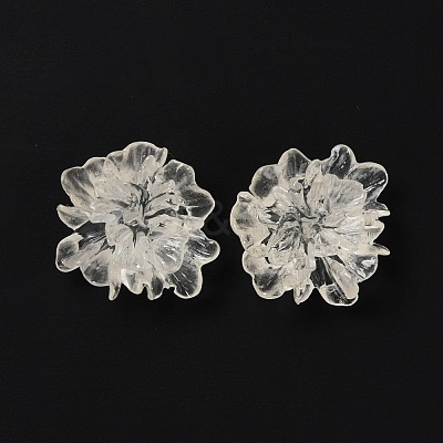 Transparent Resin Cabochons RESI-G027-01A-1