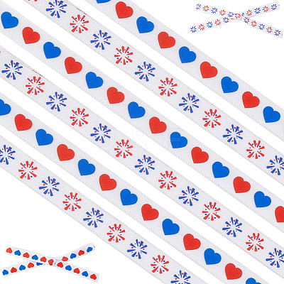 2 Rolls 2 Styles Independence Day Themes Polyester Ribbon OCOR-GF0004-50C-1