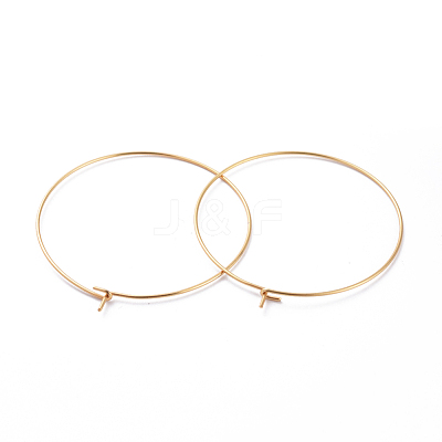316 Surgical Stainless Steel Hoop Earring Findings X-STAS-J025-01F-G-1