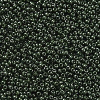 11/0 FGB Grade A Baking Paint Glass Seed Beads X-SEED-N001-A-1040-1