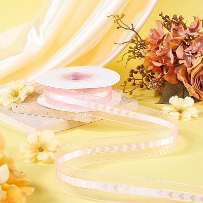 Polyester Lace Ribbon OCOR-TADJ0001-07E-1