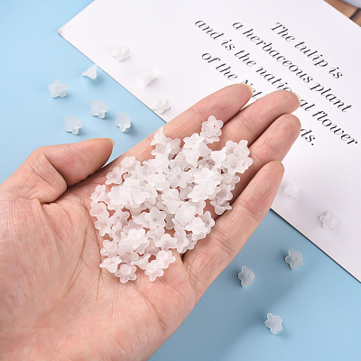 Transparent Acrylic Beads PL554-1