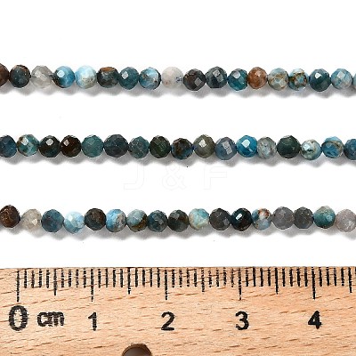 Natural Apatite Beads Strands LS-G-RM2025-36-3mm-1