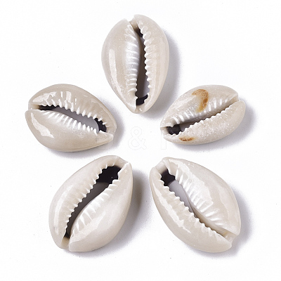 Natural Cowrie Shell Beads SSHEL-N034-33-1