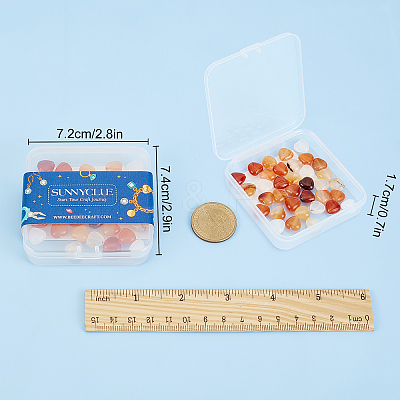 Natural Carnelian Beads Strands G-SC0002-09G-1