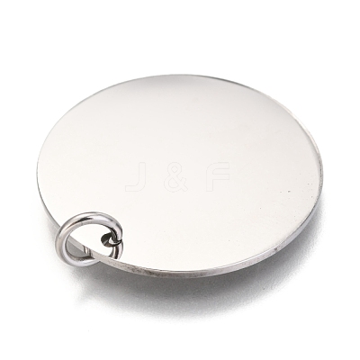 Non-Tarnish 304 Stainless Steel Charms EJEW-L238-03F-P-1