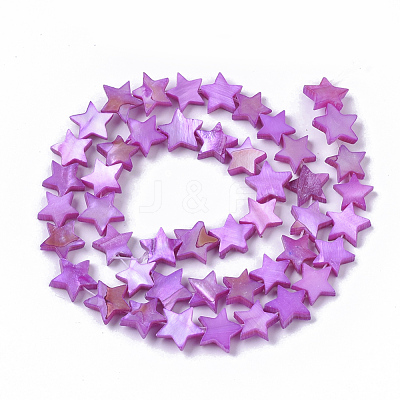 Freshwater Shell Beads Strands SHEL-T014-009E-1