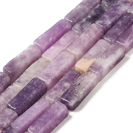 Natural Lepidolite/Purple Mica Stone Beads Strands G-E612-C05-B-1