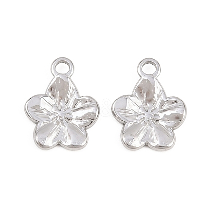 304 Stainless Steel Charms X-STAS-L317-02P-1